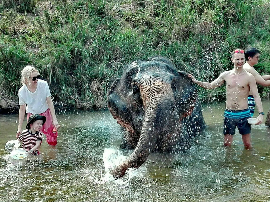 elephant_care_4