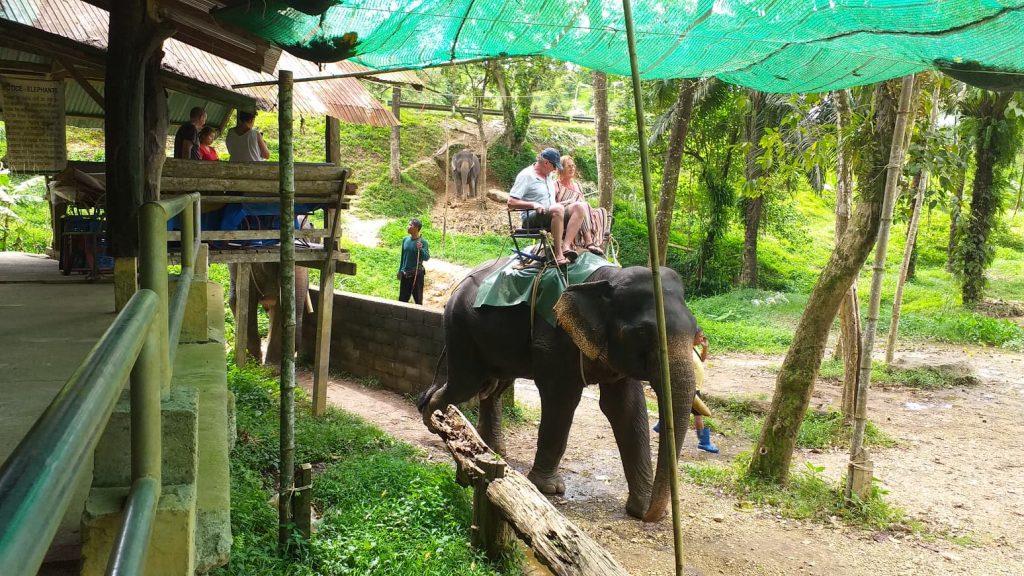 khao sok 3