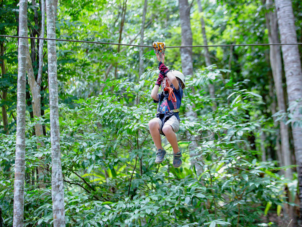 zipline2